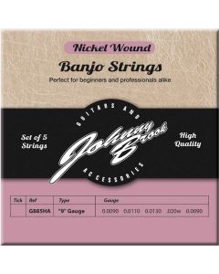 banjo snaren nickel wound 009 5 snarig 