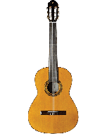 EKO VIBRA300 Klassieke gitaar Ceder Sapelli