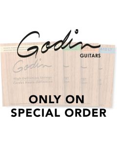 Godin E-10 Nickel Regular Light