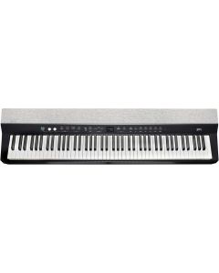 Kurzweil KAP1-LB