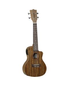 Tanglewood Tiare T12 