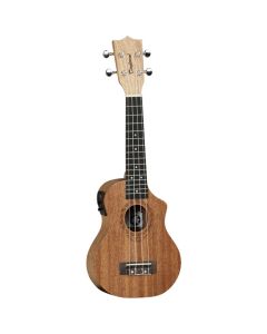 Tanglewood Tiare T1 CE