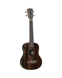 Tanglewood Tiare T19