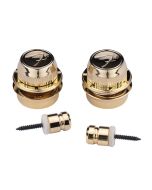 Fender F-Style Riemenschlösser Gold