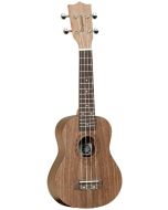Tanglewood Tanglewood Tiare T2