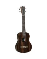 Tanglewood Tiare T19