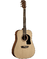 Washburn Apprentice D5 Westerngitarre natur