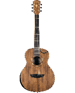 Washburn Harvest CGM55K Mini-Auditorium Koa